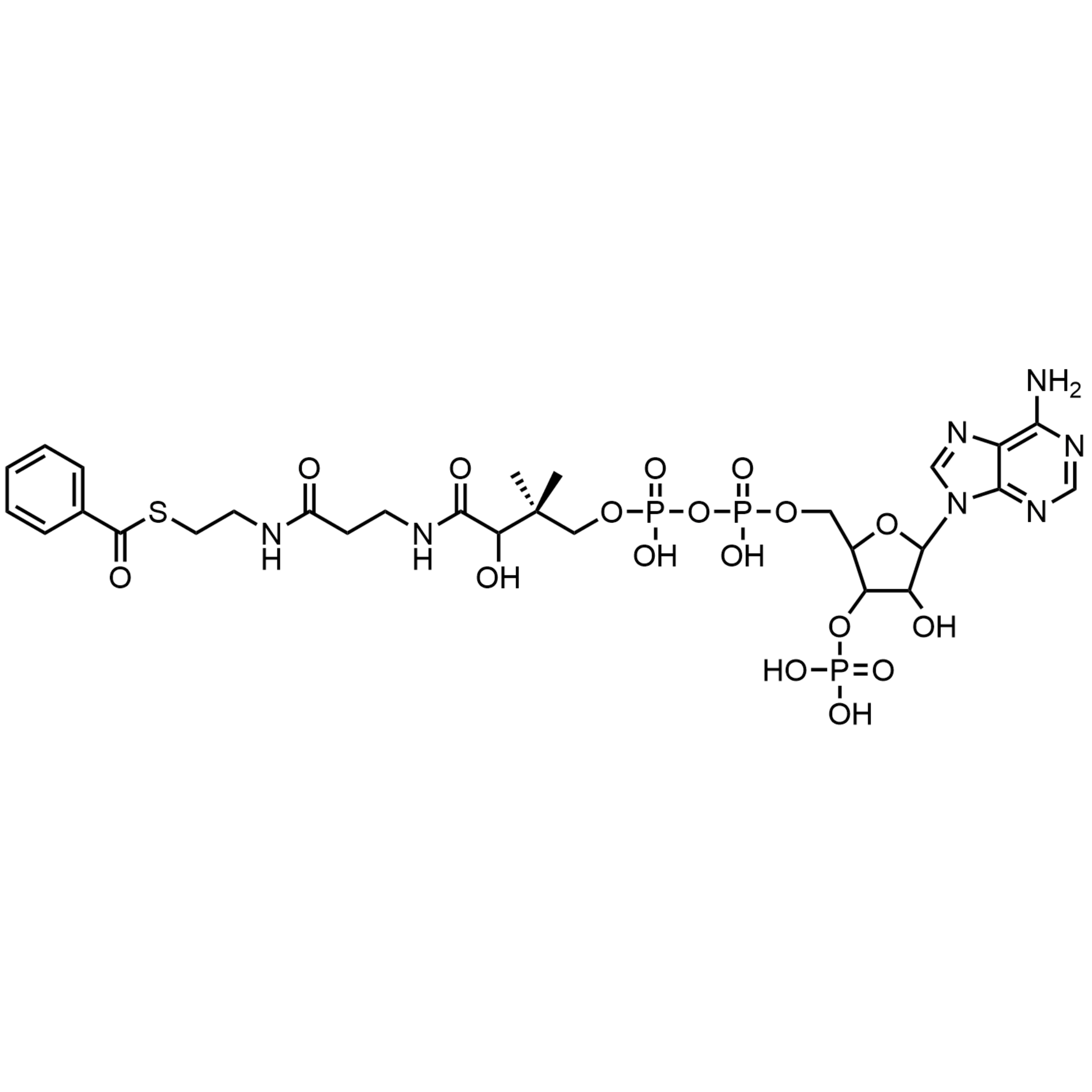 Benzoyl Coenzyme A, Free acid