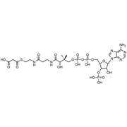 Malonyl Coenzyme A, Free Acid
