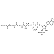 Valeryl Coenzyme A, Sodium salt