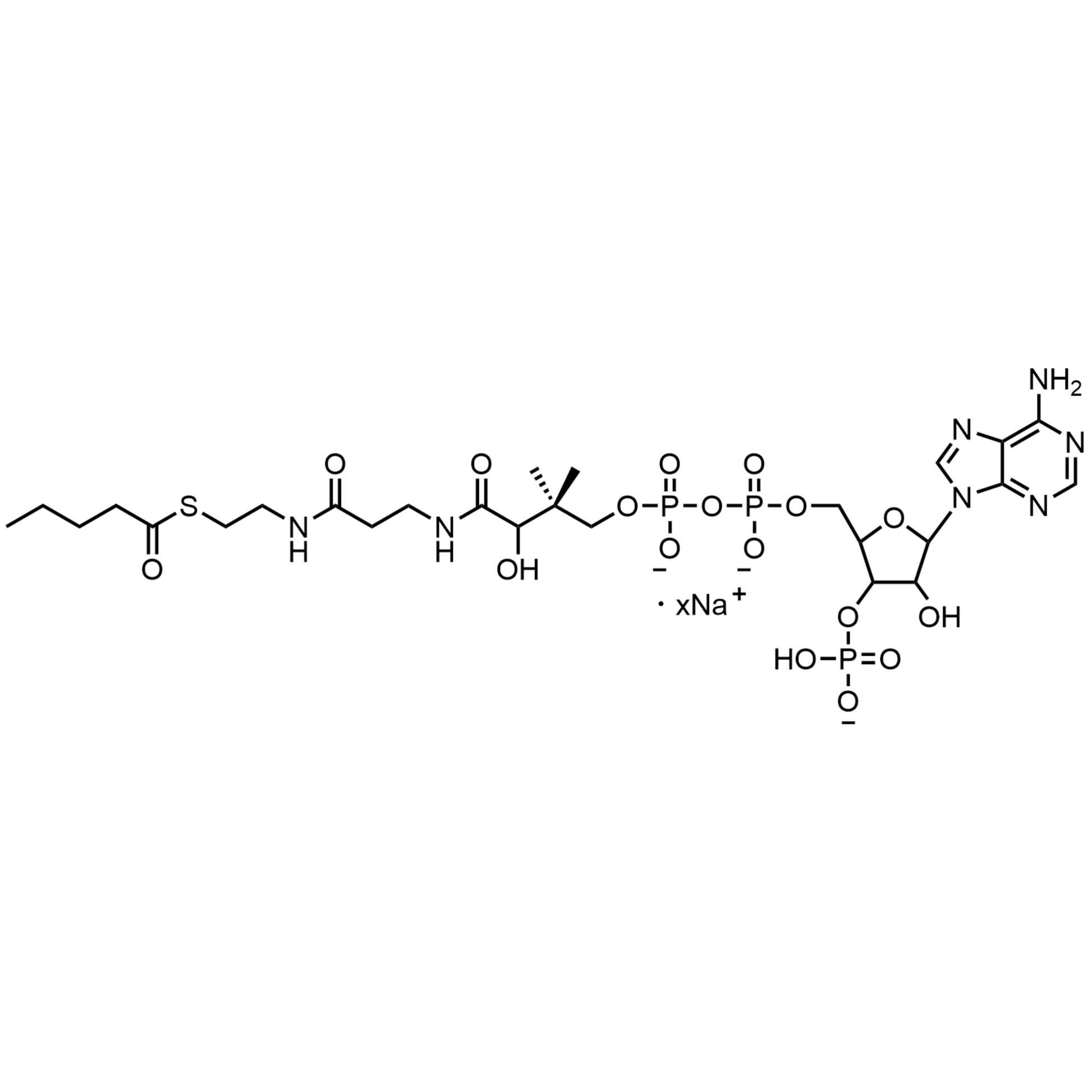 Valeryl Coenzyme A, Sodium salt