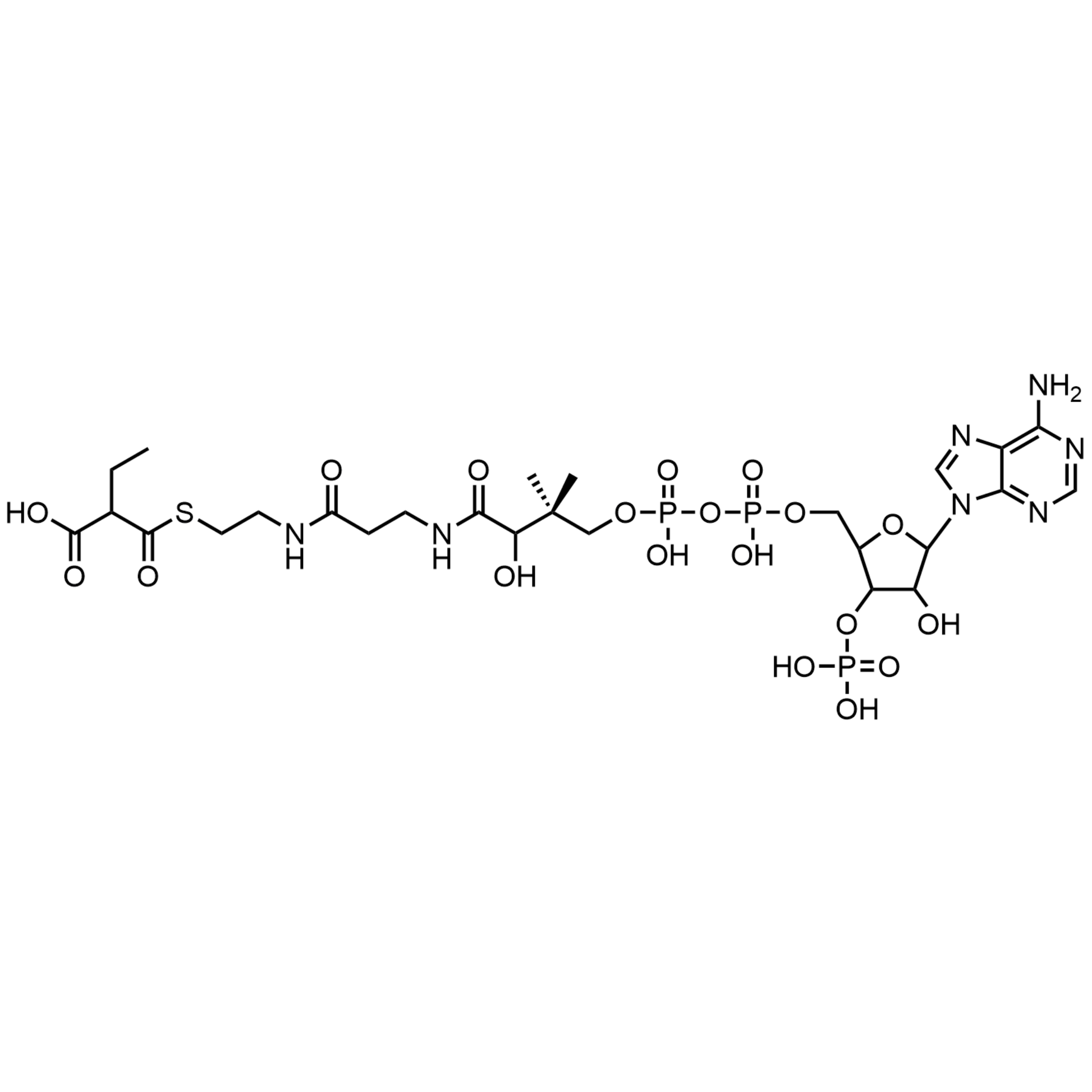 Ethylmalonyl Coenzyme A, Free acid