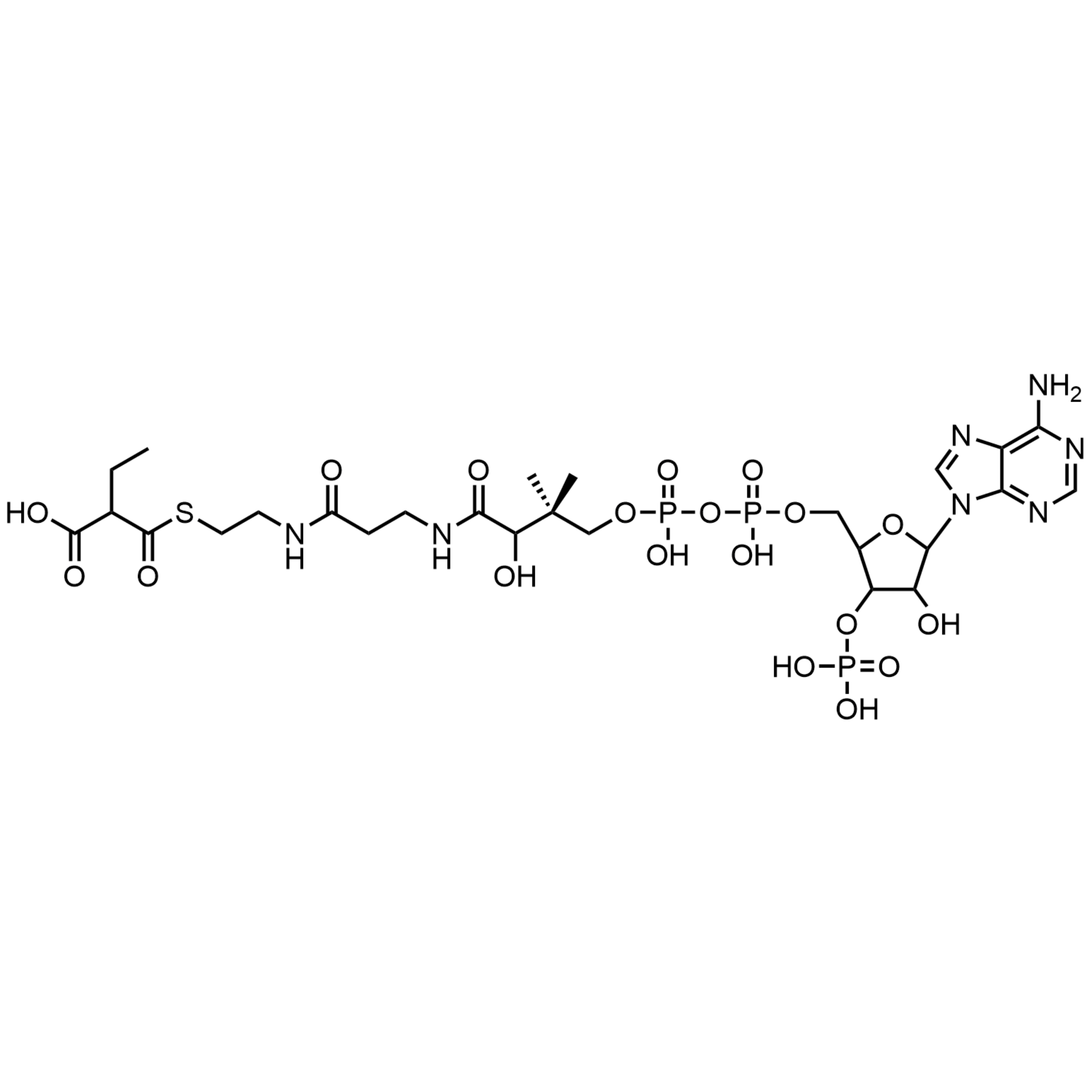 Ethylmalonyl Coenzyme A, Free acid