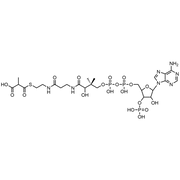 Methylmalonyl Coenzyme A, Free acid