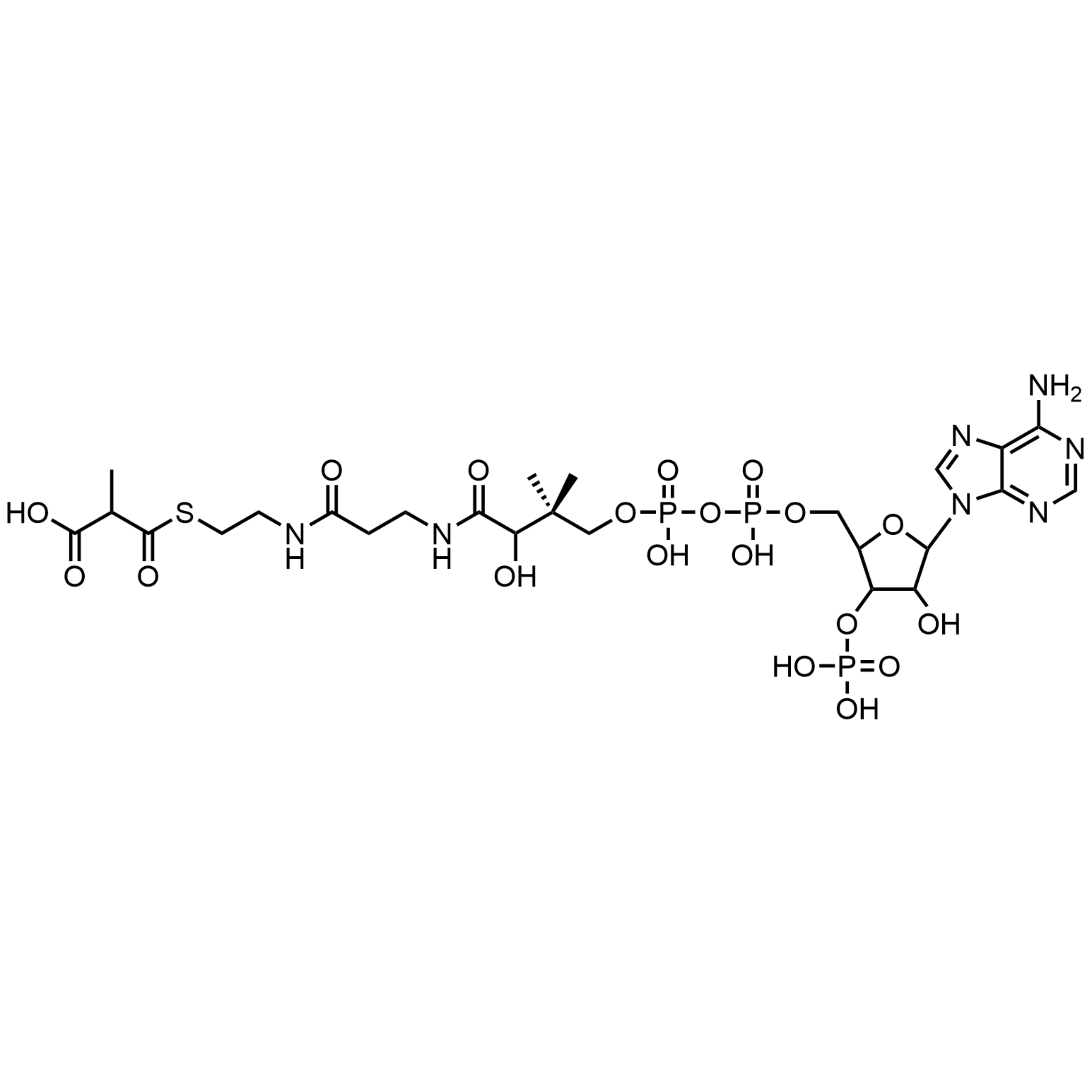 Methylmalonyl Coenzyme A, Free acid