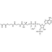 Acetoacetyl Coenzyme A, Sodium salt