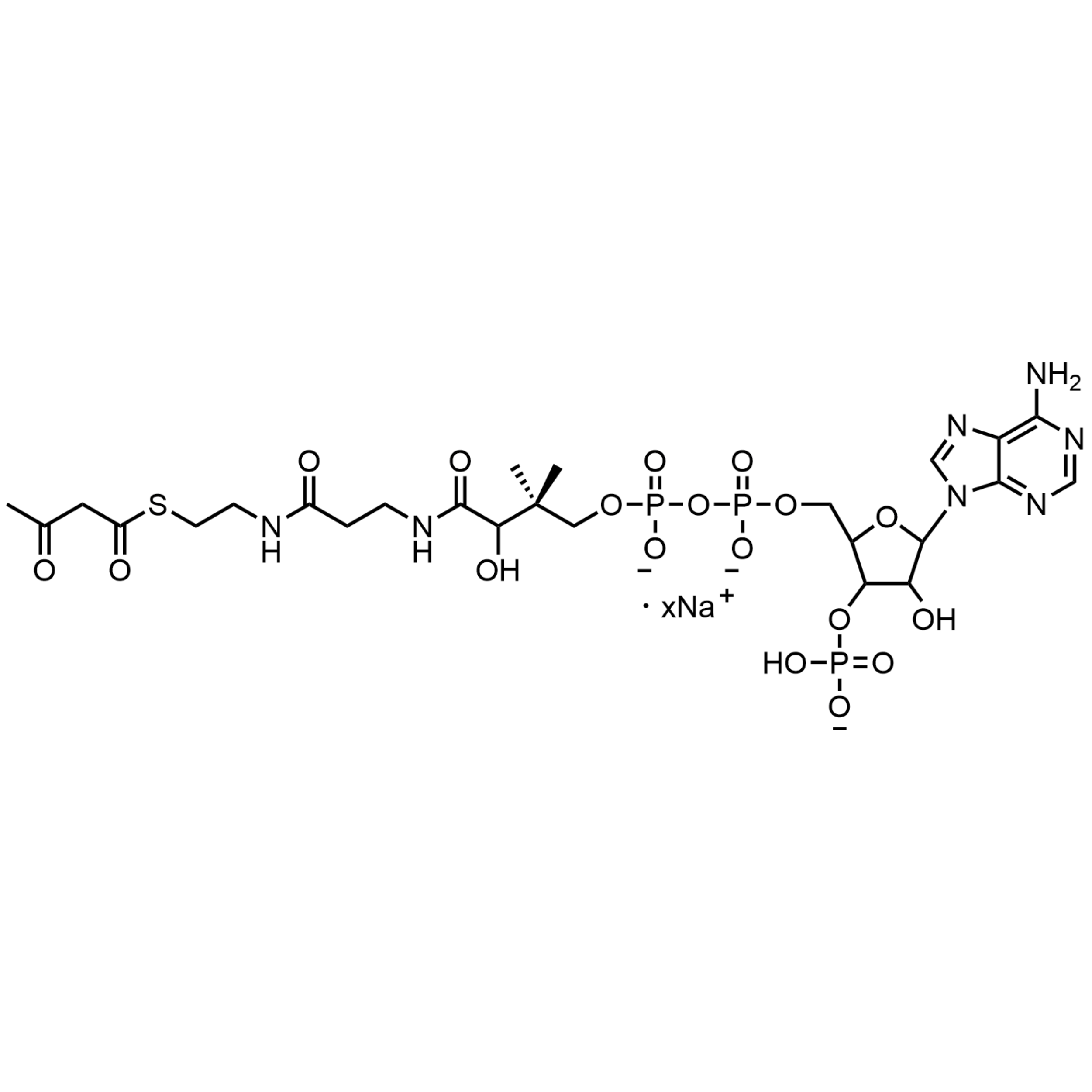 Acetoacetyl Coenzyme A, Sodium salt