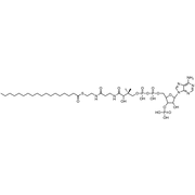 Stearoyl Coenzyme A, Free acid