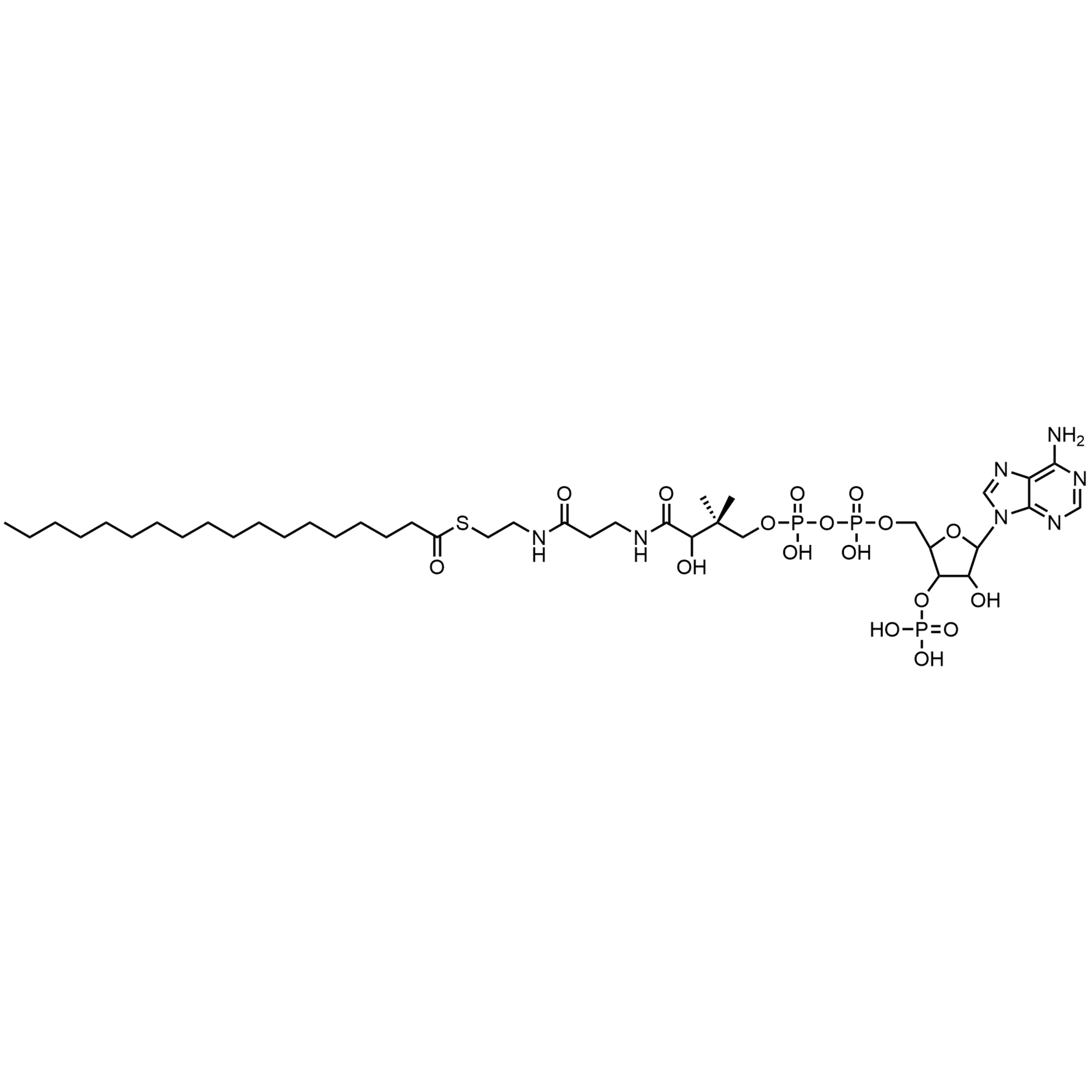 Stearoyl Coenzyme A, Free acid