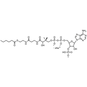 Hexanoyl Coenzyme A, Sodium salt