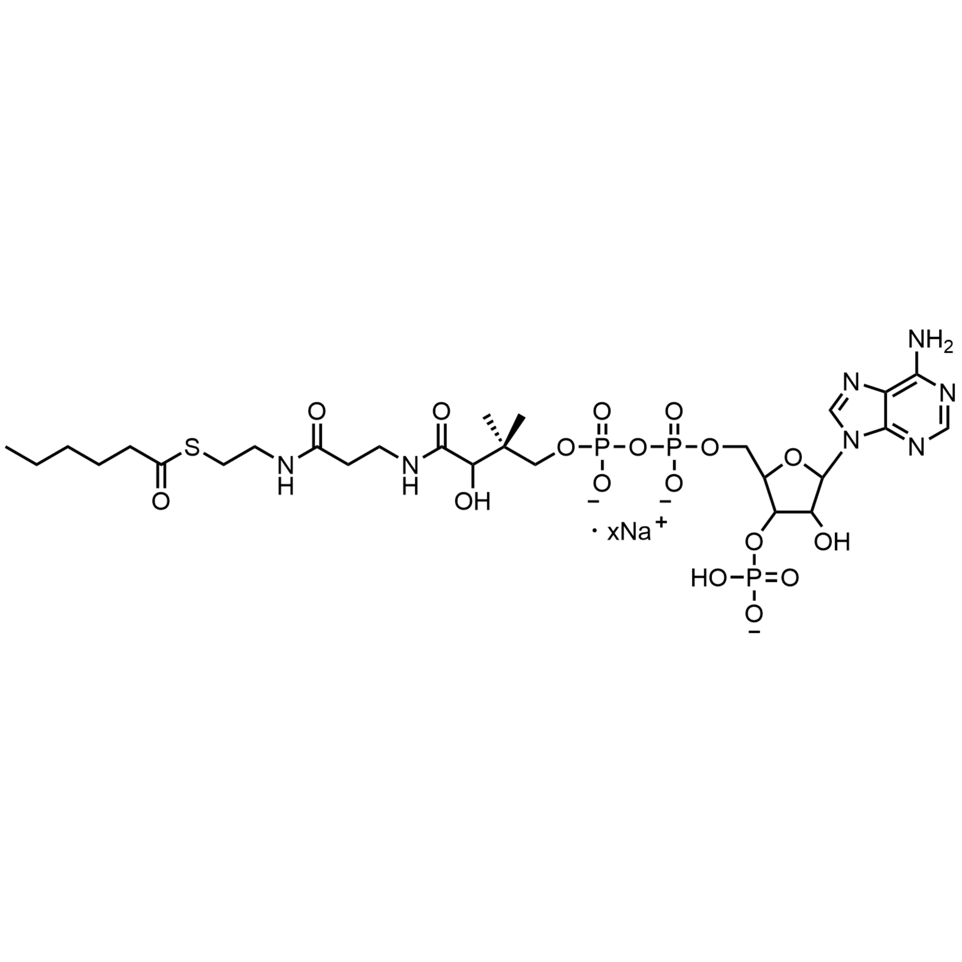 Hexanoyl Coenzyme A, Sodium salt