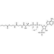 Valeryl Coenzyme A, Lithium salt