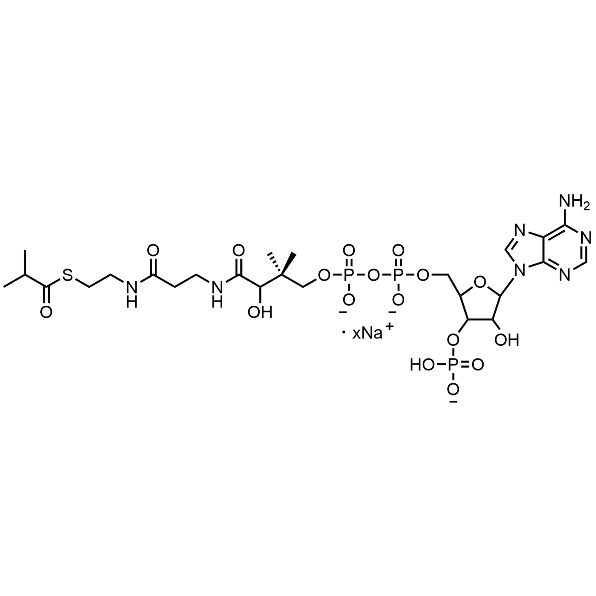 Isobutyryl Coenzyme A, Sodium salt
