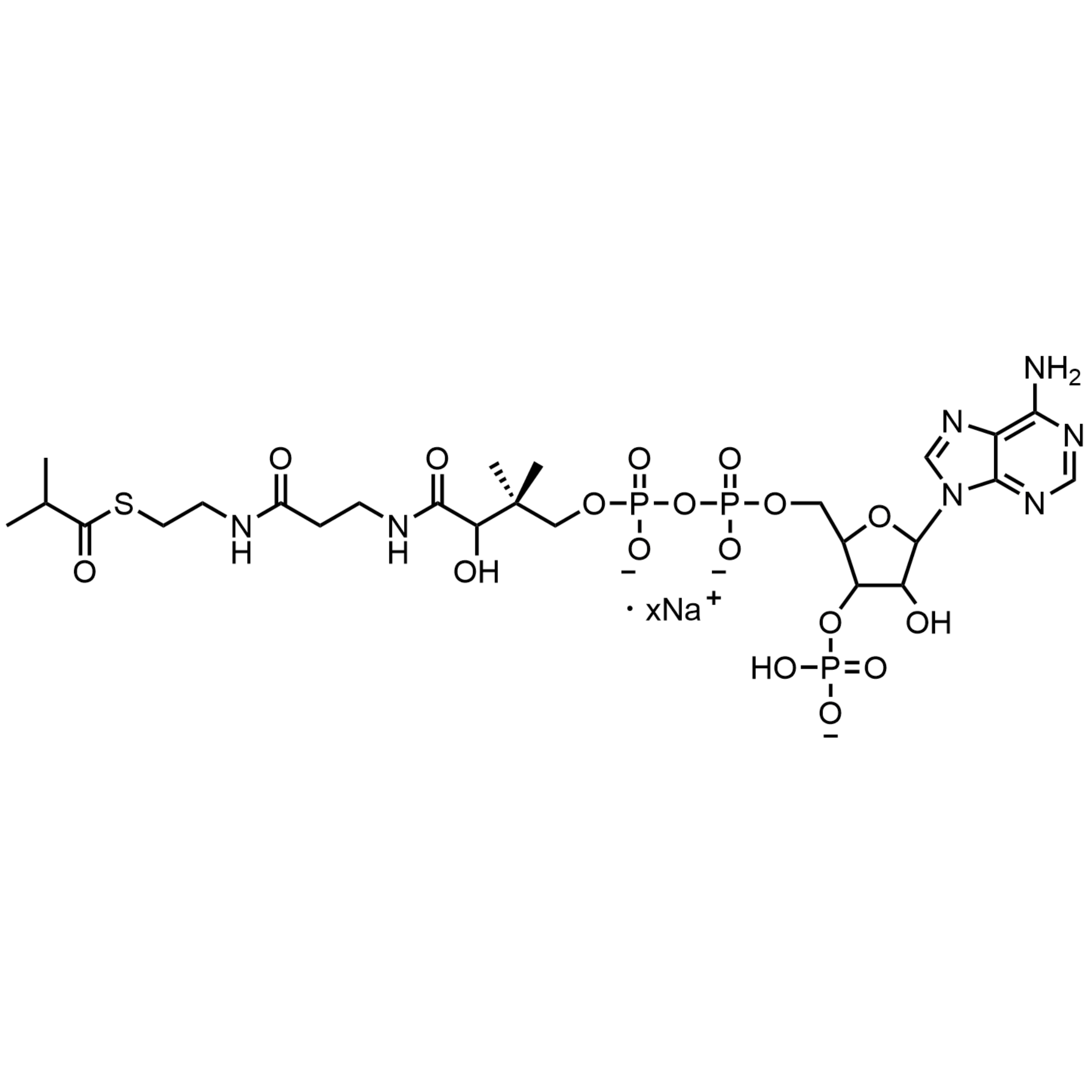 Isobutyryl Coenzyme A, Sodium salt