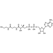 3’-Dephosphocoenzyme A, Free acid
