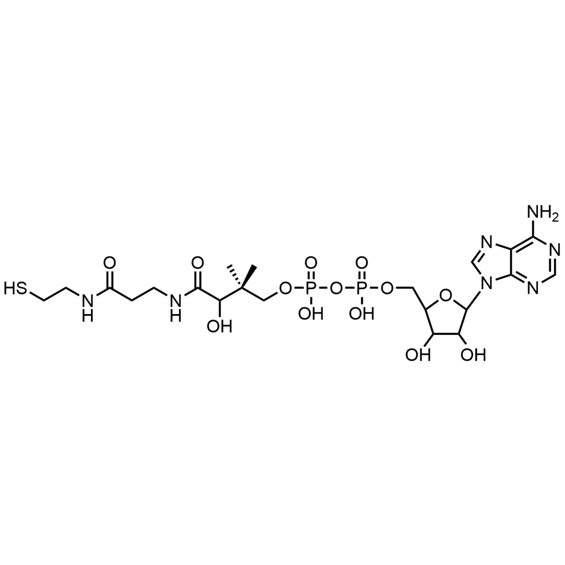 3’-Dephosphocoenzyme A, Free acid