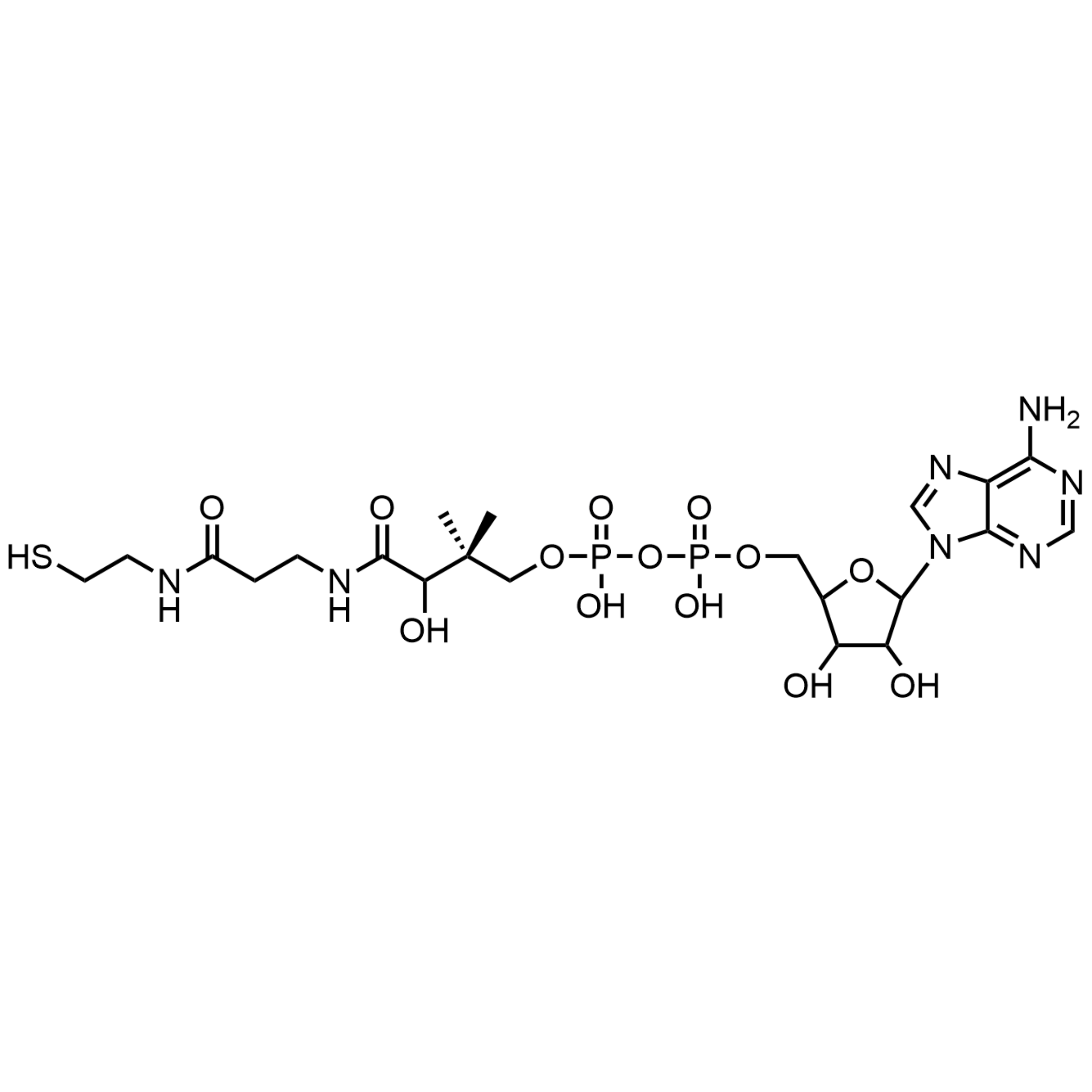3’-Dephosphocoenzyme A, Free acid