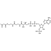 Acetoacetyl Coenzyme A, Free acid