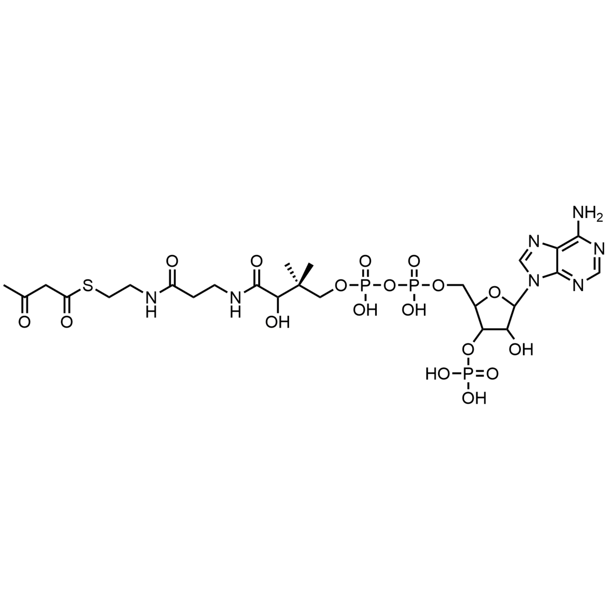 Acetoacetyl Coenzyme A, Free acid