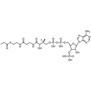 Propionyl Coenzyme A, Free Acid