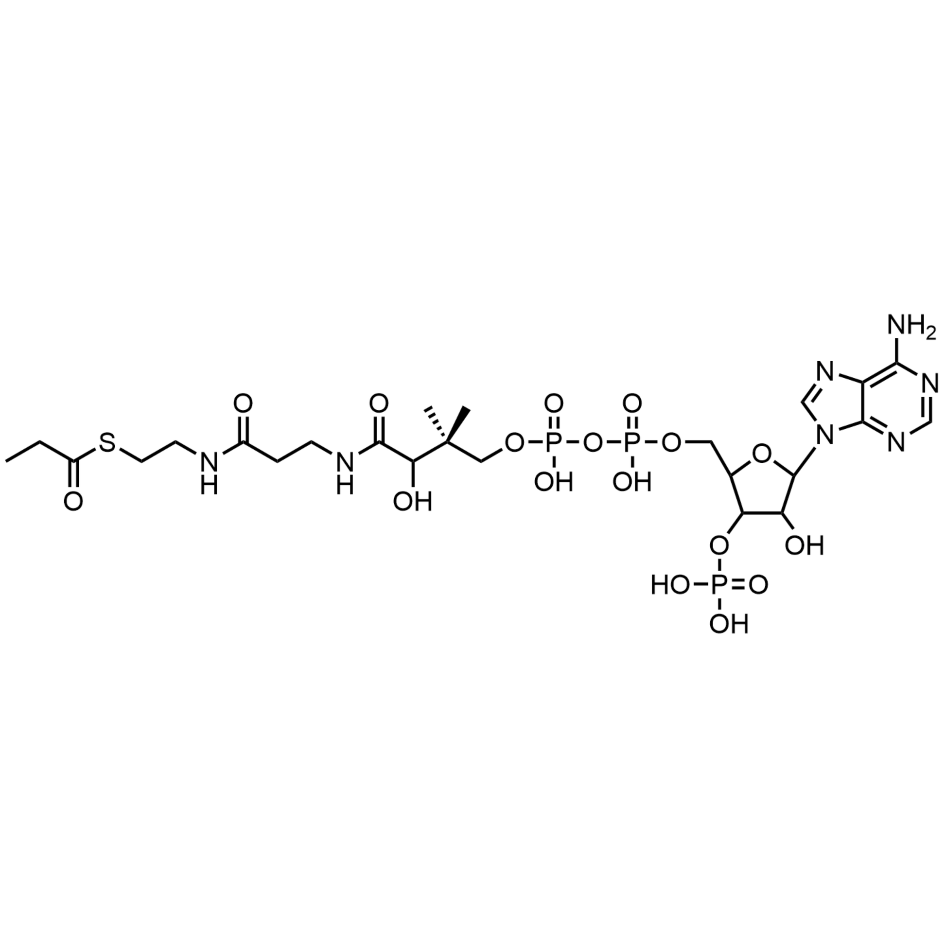 Propionyl Coenzyme A, Free Acid