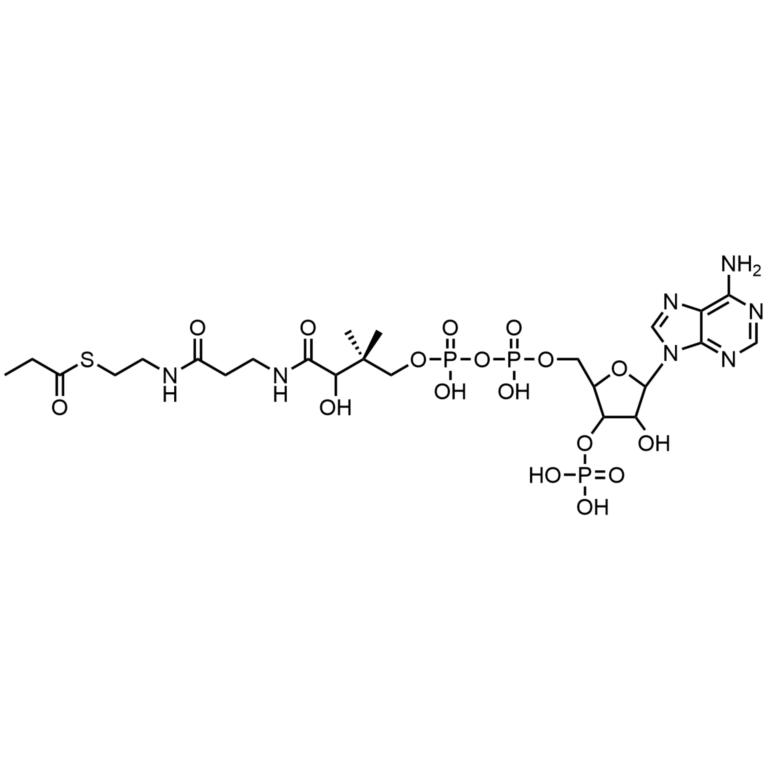 Propionyl Coenzyme A, Free Acid