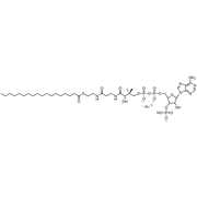 Stearoyl Coenzyme A, Lithium salt