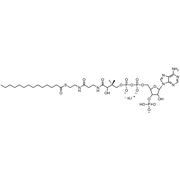 Myristoyl Coenzyme A, Lithium salt