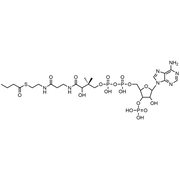Butyryl Coenzyme A, Free acid