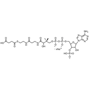 Succinyl Coenzyme A, Sodium salt