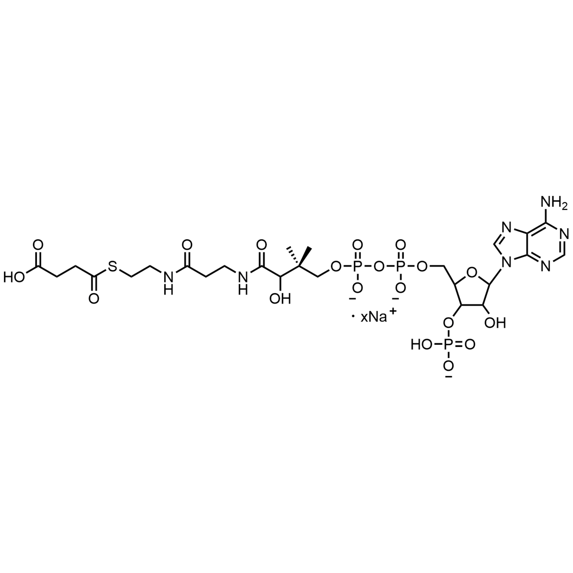 Succinyl Coenzyme A, Sodium salt