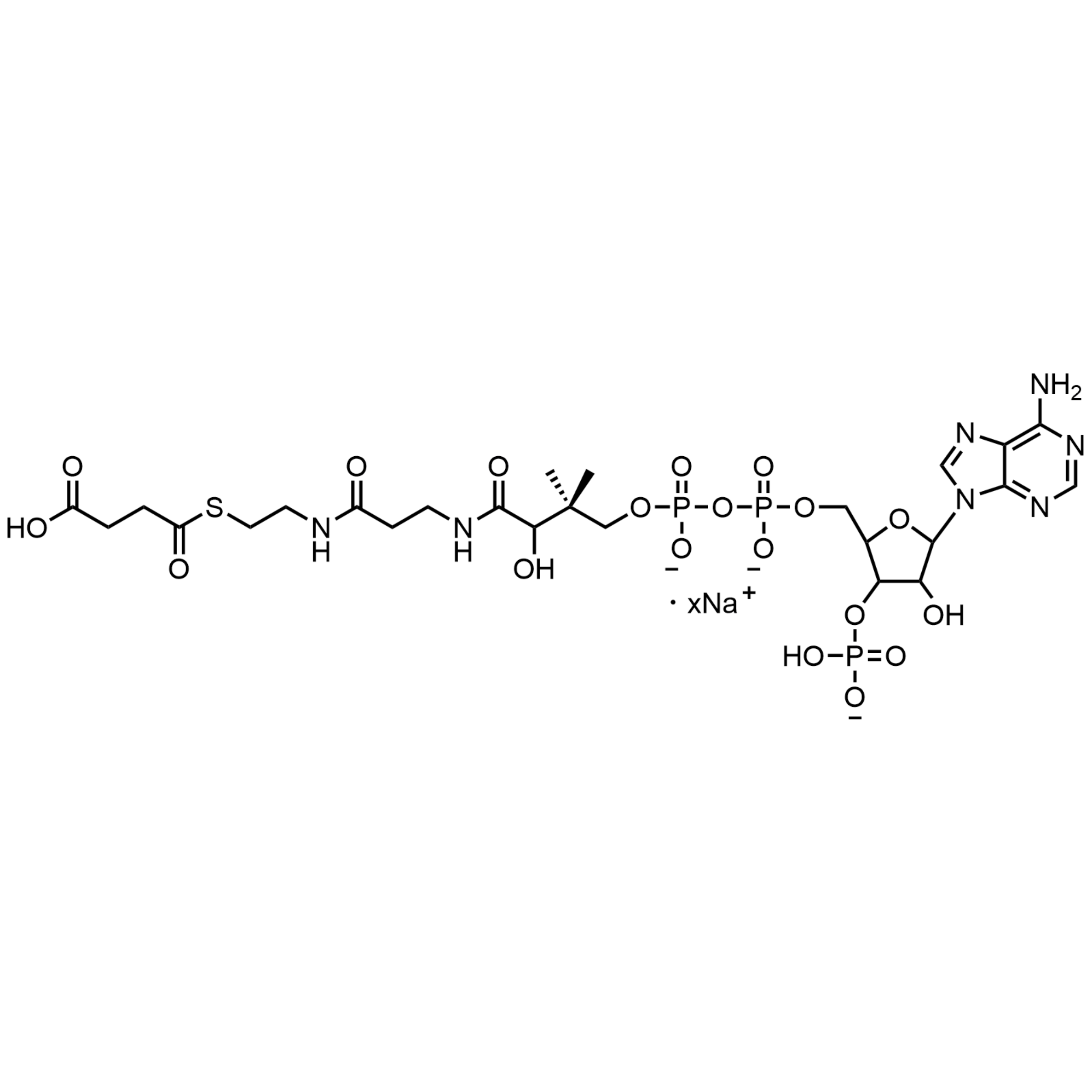 Succinyl Coenzyme A, Sodium salt