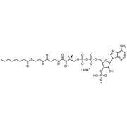 Octanoyl Coenzyme A, Sodium salt