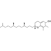 γ-Tocopherol