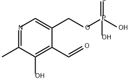 Pyridoxal phosphate