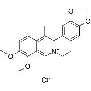 13-Methylberberine chloride