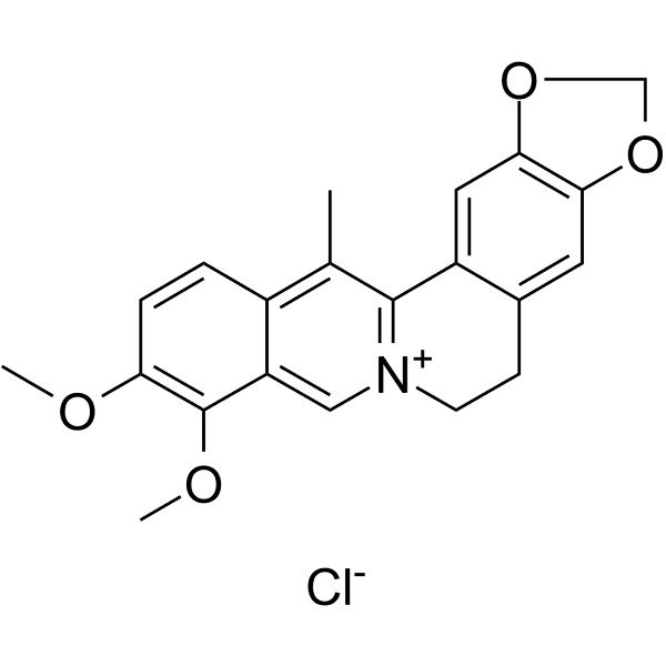 13-Methylberberine chloride