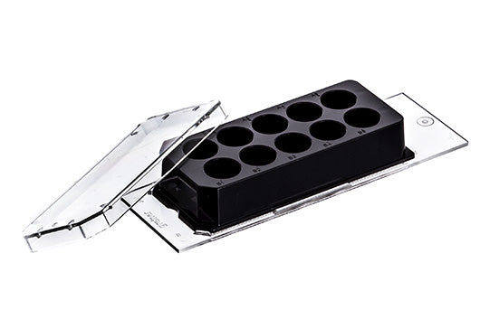 CELLVIEW CELL CULTURE SLIDE, PS, 75/25 MM,  - Cellview Slide - Greiner Bio-One