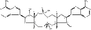 c-di-AMP