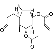 Ergolide