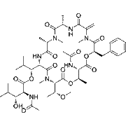 YM-254890
