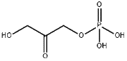 Dihydroxyacetone phosphate
