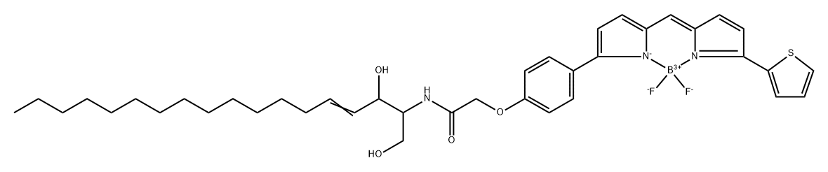 BODIPY TR Ceramide