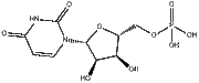 Uridine 5'-monophosphate