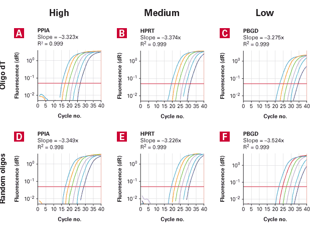 Reference RNA for real-time qPCR - Real-time PCR - Takara Bio