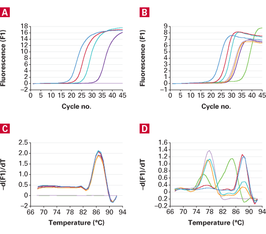 TB Green Advantage qPCR premixes - Real-time PCR - Takara Bio
