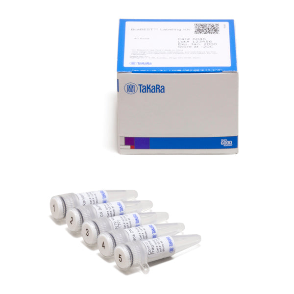 BcaBEST Labeling Kit - PCR - Takara Bio