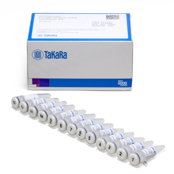Simple cDNA library preparation with the PrimeScript Double Strand cDNA Synthesis Kit - mRNA and cDNA synthesis - Takara Bio
