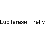Luciferase, firefly