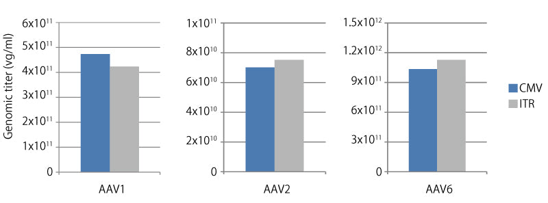 AAV real-time PCR titration kit - Gene function - Takara Bio