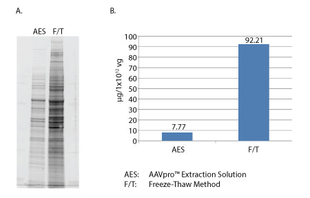 AAVpro Extraction Solution - Gene function - Takara Bio